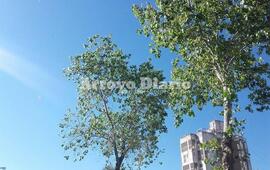 Imagen de Mi&eacute;rcoles con buen tiempo y con cielo celeste