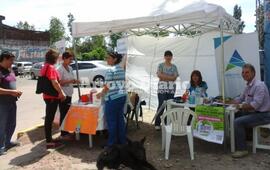 Imagen de Jornada de vacunación con respuesta positiva