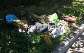 "Un asco". As&iacute; resumi&oacute; el vecino la imagen que puede observarse en esta nota.