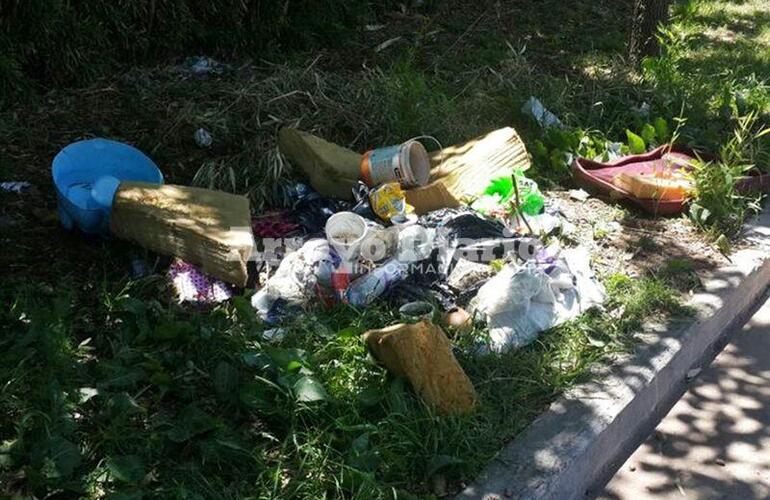 "Un asco". As&iacute; resumi&oacute; el vecino la imagen que puede observarse en esta nota.