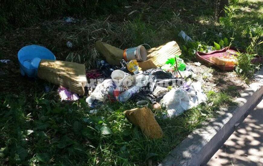 "Un asco". As&iacute; resumi&oacute; el vecino la imagen que puede observarse en esta nota.