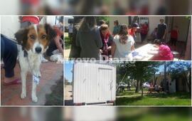 Imagen de Campa&ntilde;a de castraci&oacute;n