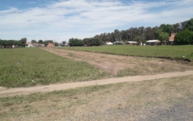 Foto: Gentileza Maximiliano Pascual.