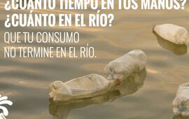 Imagen de Convocan a voluntarios para jornada ecologista