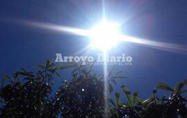 Imagen de La primavera se har&aacute; sentir este fin de semana