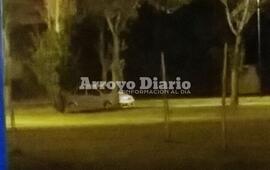 Quedó registrado. El automóvil en el que se movilizaba la mujer que trató de llevarse "una planta entera" de rosas.
