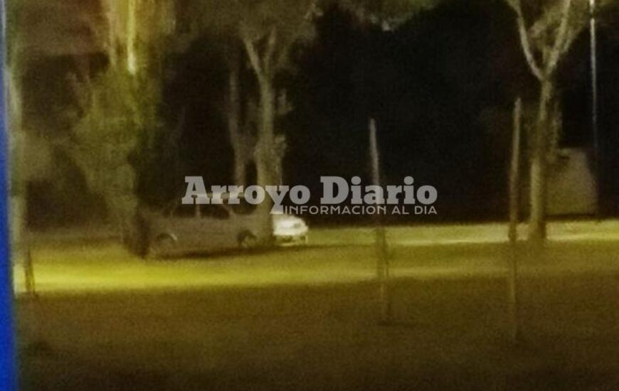 Quedó registrado. El automóvil en el que se movilizaba la mujer que trató de llevarse "una planta entera" de rosas.