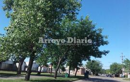 Mucho calor!: No es enero, pero parece.