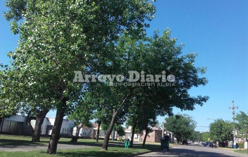 Mucho calor!: No es enero, pero parece.