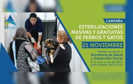 El dato. El gobierno municipal decidi&oacute; ampliar el n&uacute;mero de las esterilizaciones masivas y gratuitas de perros y gatos, las cuales pasar&aacute;n de 50 a 80 mensuales.