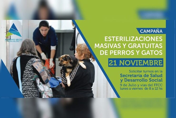 El dato. El gobierno municipal decidió ampliar el número de las esterilizaciones masivas y gratuitas de perros y gatos, las cuales pasarán de 50 a 80 mensuales.