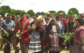 Imagen de Expo Feria de la Escuela Primaria N° 6086