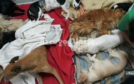 Sobre la jornada. La actividad se realiz&oacute; en el d&iacute;a de ayer.