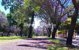 Arrancó bien. Tempranito el día se mostraba agradable aunque no se descarta que el tiempo desmejore para la tarde.