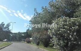 Imagen de Para hoy anticipan una temperatura máxima de 30