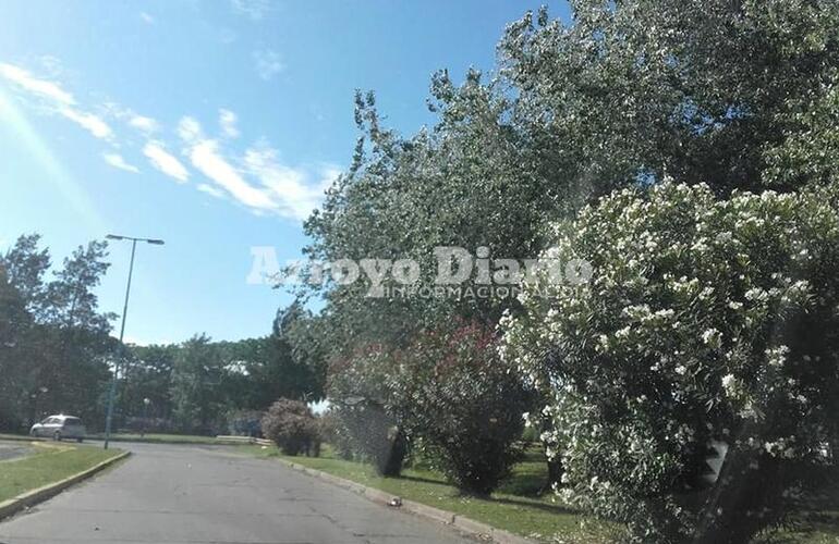 Imagen de Para hoy anticipan una temperatura m&aacute;xima de 30