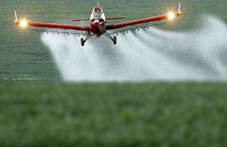 Imagen de Entre R&iacute;os s&iacute; avanza en prohibir la utilizaci&oacute;n del glifosato