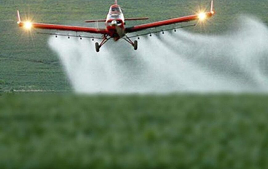 Imagen de Entre R&iacute;os s&iacute; avanza en prohibir la utilizaci&oacute;n del glifosato