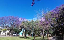 Imagen de Fin de semana con temperaturas muy elevadas