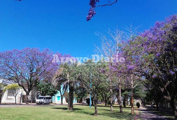 Imagen de Fin de semana con temperaturas muy elevadas