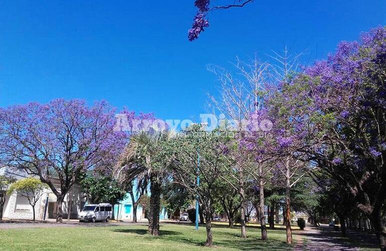 Imagen de Fin de semana con temperaturas muy elevadas