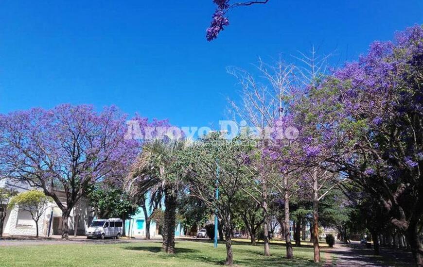 Imagen de Fin de semana con temperaturas muy elevadas