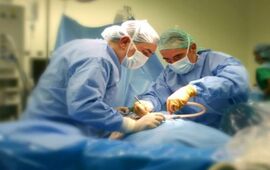 Datos. Con 20 donantes por millón de habitantes, Santa Fe supera la media nacional, que se ubica en 13 por millón.