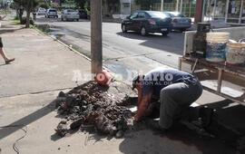 En plena tarea. Los municipales trabajando esta mañana en la reparación del caño roto.