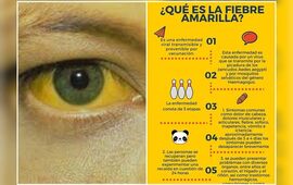 Imagen de Vacunación contra la Fiebre Amarilla