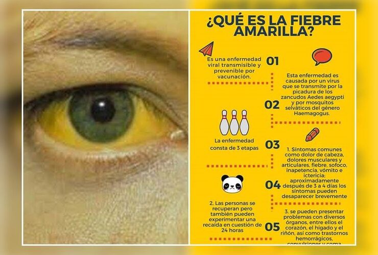 Imagen de Vacunación contra la Fiebre Amarilla