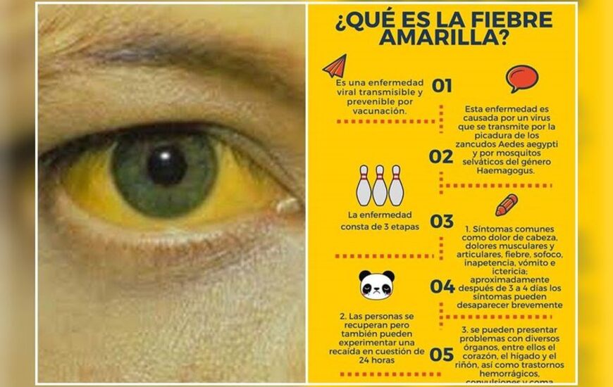 Imagen de Vacunaci&oacute;n contra la Fiebre Amarilla