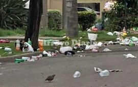 Imagen de Obras Públicas sacó 10 equipos a la calle para limpiar la ciudad