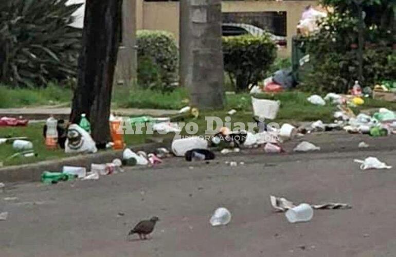 Imagen de Obras Públicas sacó 10 equipos a la calle para limpiar la ciudad