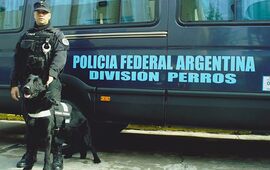 Imagen de Policía Federal rescató a 16 víctimas de explotación laboral