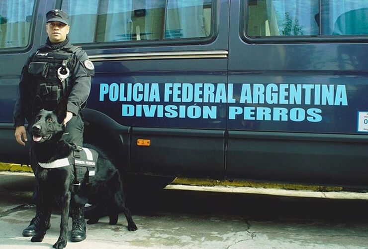 Imagen de Policía Federal rescató a 16 víctimas de explotación laboral