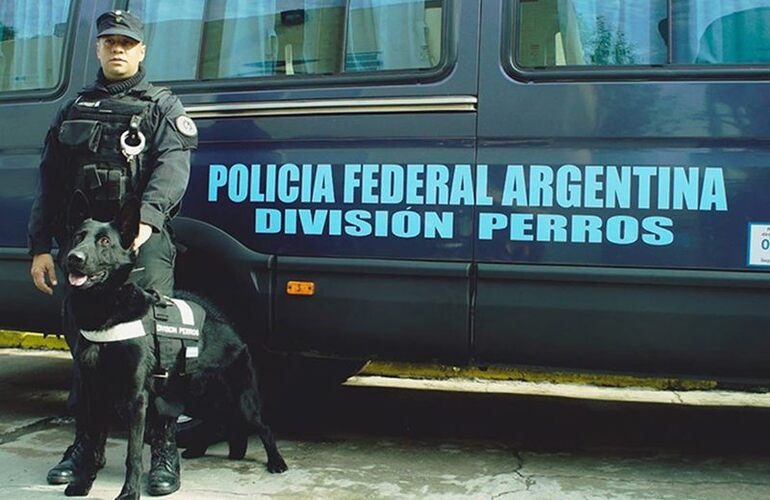 Imagen de Policía Federal rescató a 16 víctimas de explotación laboral