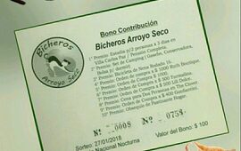 10 premios. Desde el primero al último, todos los premios son buenísimos!