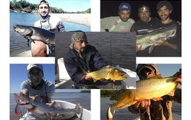 Imagen de Pesca deportiva en crecimiento en Fighiera