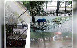 Imagen de En im&aacute;genes: Algunas de las fotos enviadas por lectores de Arroyo Diario