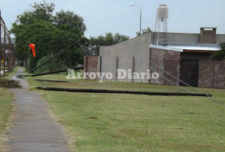 Imagen de Postes caídos sobre Ruta 21 en el ingreso norte