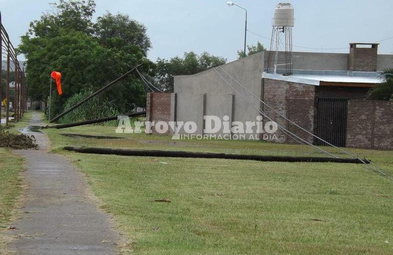 Imagen de Postes caídos sobre Ruta 21 en el ingreso norte