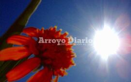 Imagen de Altas temperaturas: Este viernes el calor vuelve a sentirse