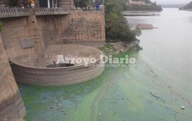 Imagen de Villa Carlos Paz: alertan a bañistas por proliferación de algas tóxicas