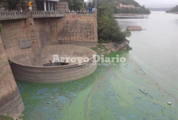 Imagen de Villa Carlos Paz: alertan a bañistas por proliferación de algas tóxicas
