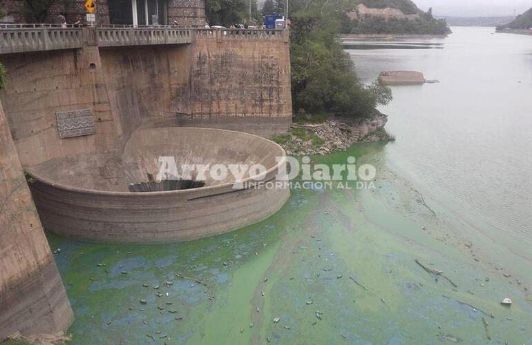 Imagen de Villa Carlos Paz: alertan a bañistas por proliferación de algas tóxicas