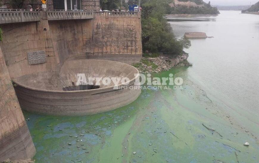 Imagen de Villa Carlos Paz: alertan a bañistas por proliferación de algas tóxicas
