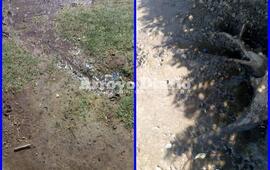 Imagen de Tras el reclamo, la Comuna reparó caño roto