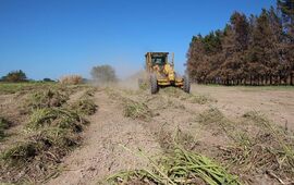 Foto: Municipalidad de Arroyo Seco FB