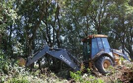 Foto: Mat&iacute;as Perfetto.