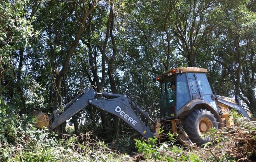 Foto: Matías Perfetto.